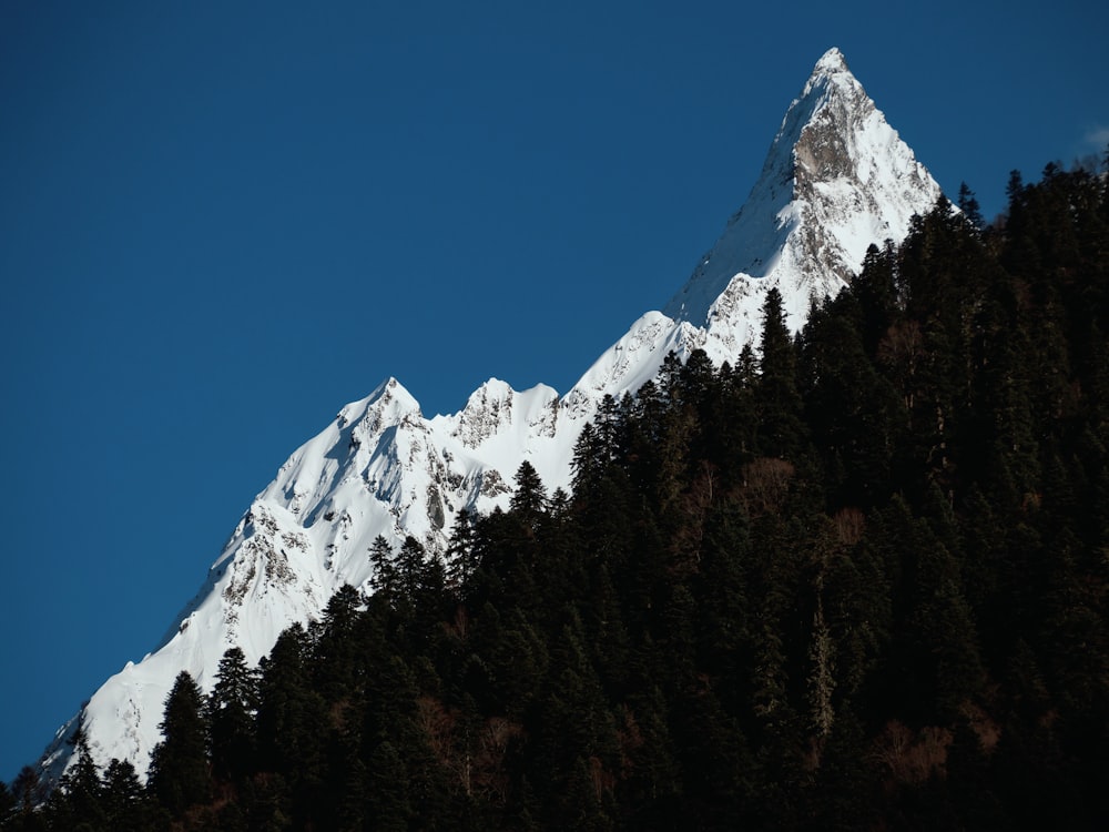 snow covered mountain during daytime