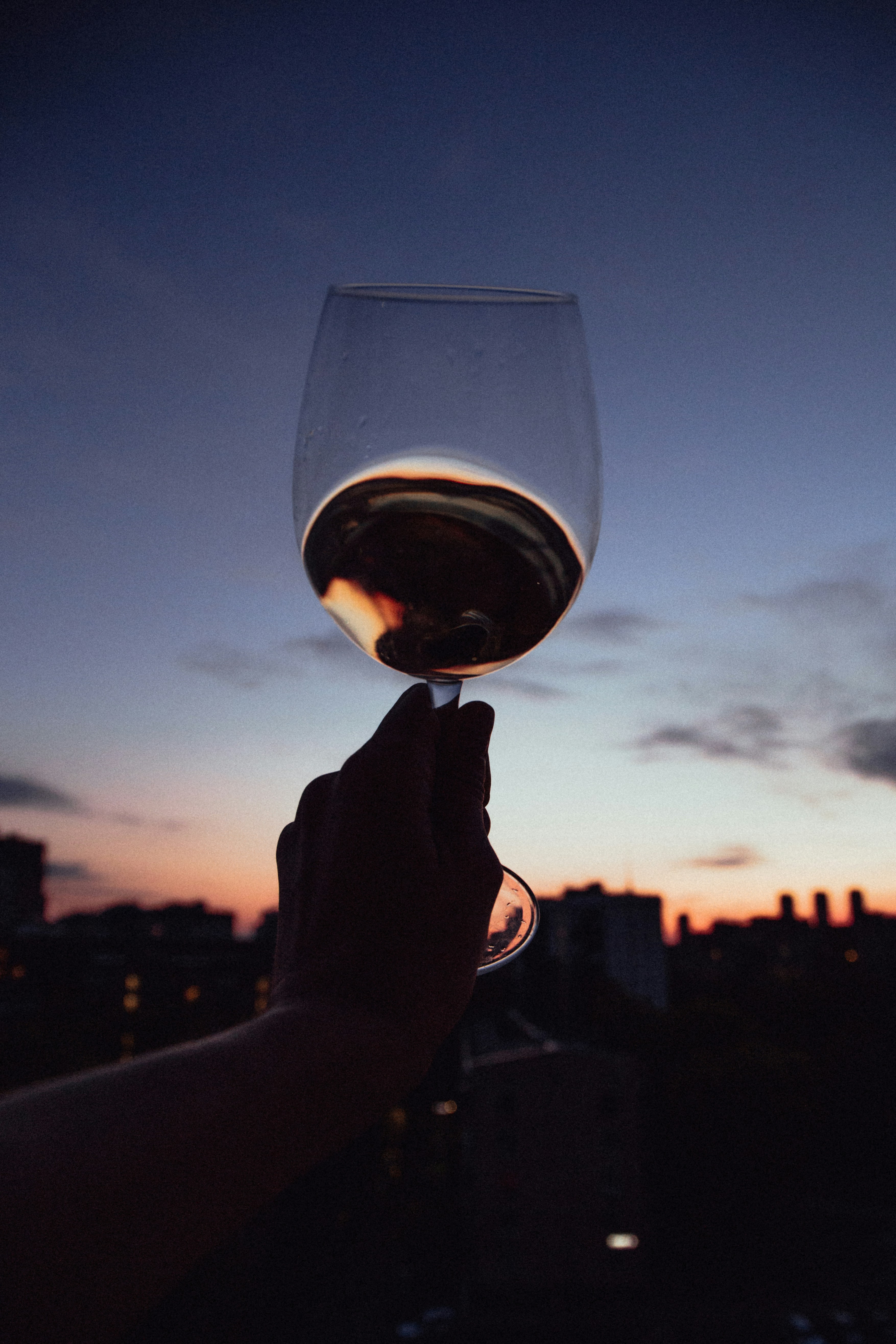 person holding clear wine glass during sunset