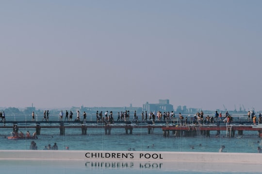 people on beach during daytime in Geelong VIC Australia