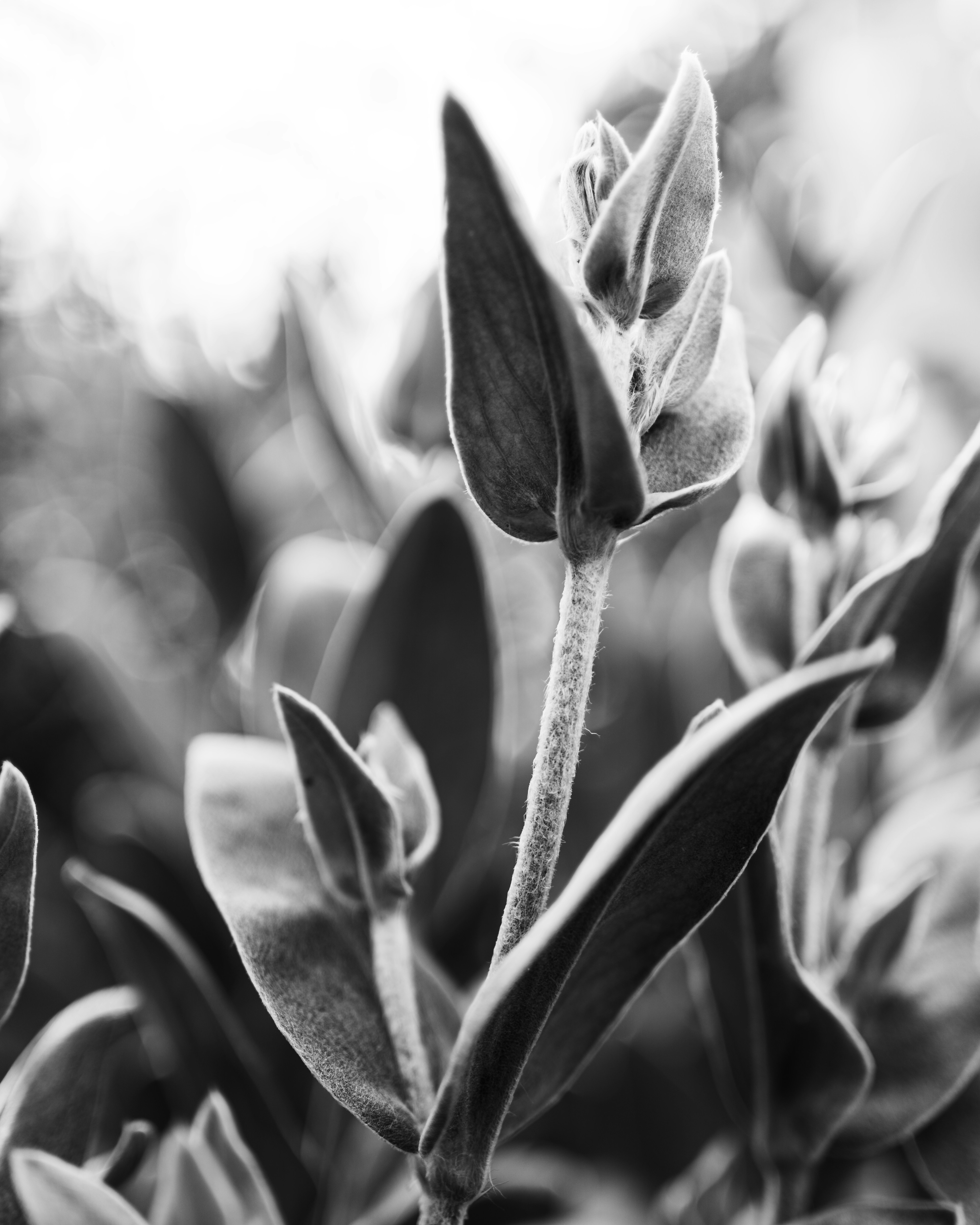 Photo by kingtographer