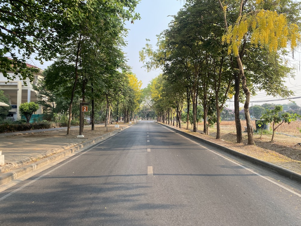 gray concrete road between green trees during daytime