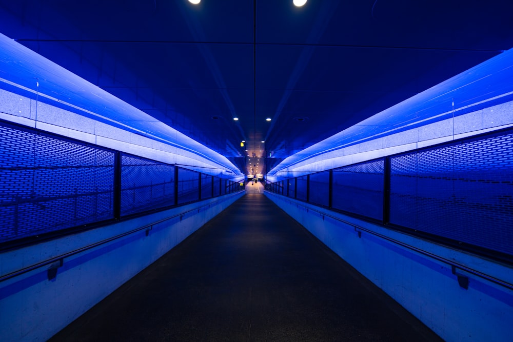 blue and white hallway with blue lights