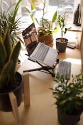 A peaceful workspace with a laptop open to an online wellness program, surrounded by plants.
