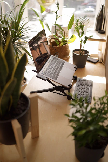 A serene workspace with a laptop open to a digital wellness app, surrounded by soft natural light and calming plants.