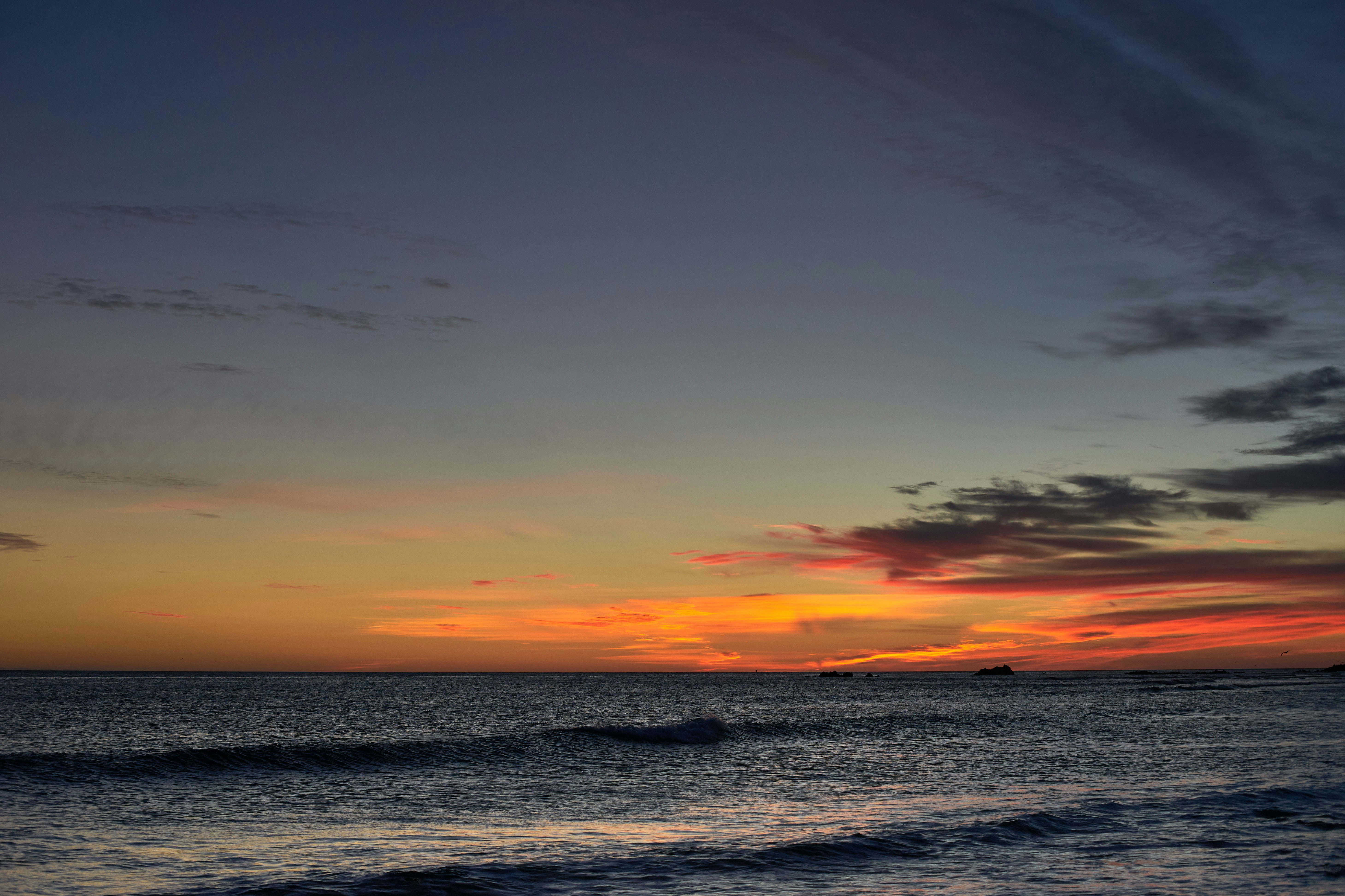 Photo by wolfgang_hasselmann