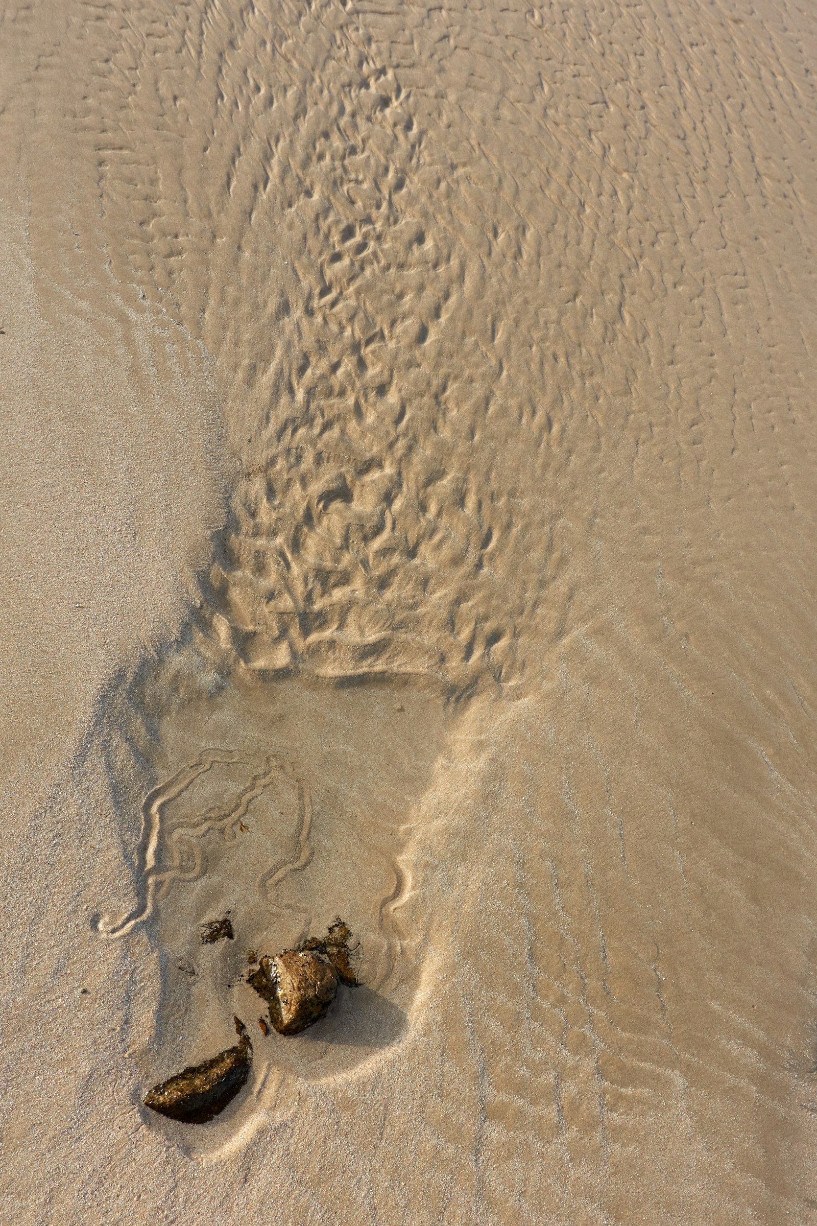 Sony Cyber-shot DSC-RX100 III sample photo. Brown sand with water photography