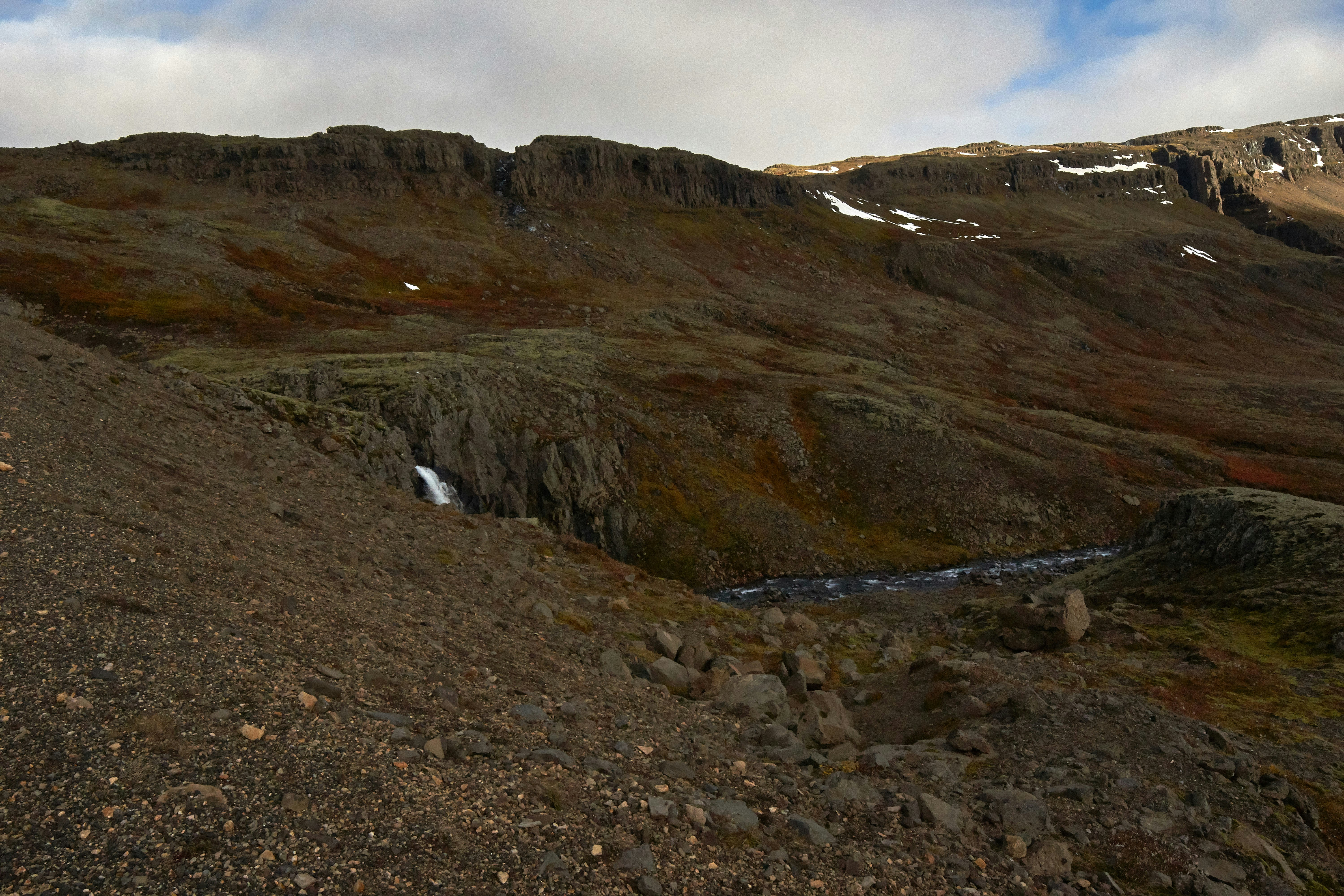 Photo by wolfgang_hasselmann