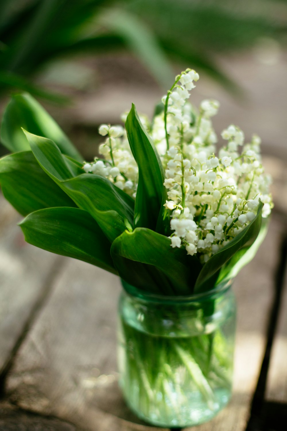 Weiße Blumen in klarer Glasvase