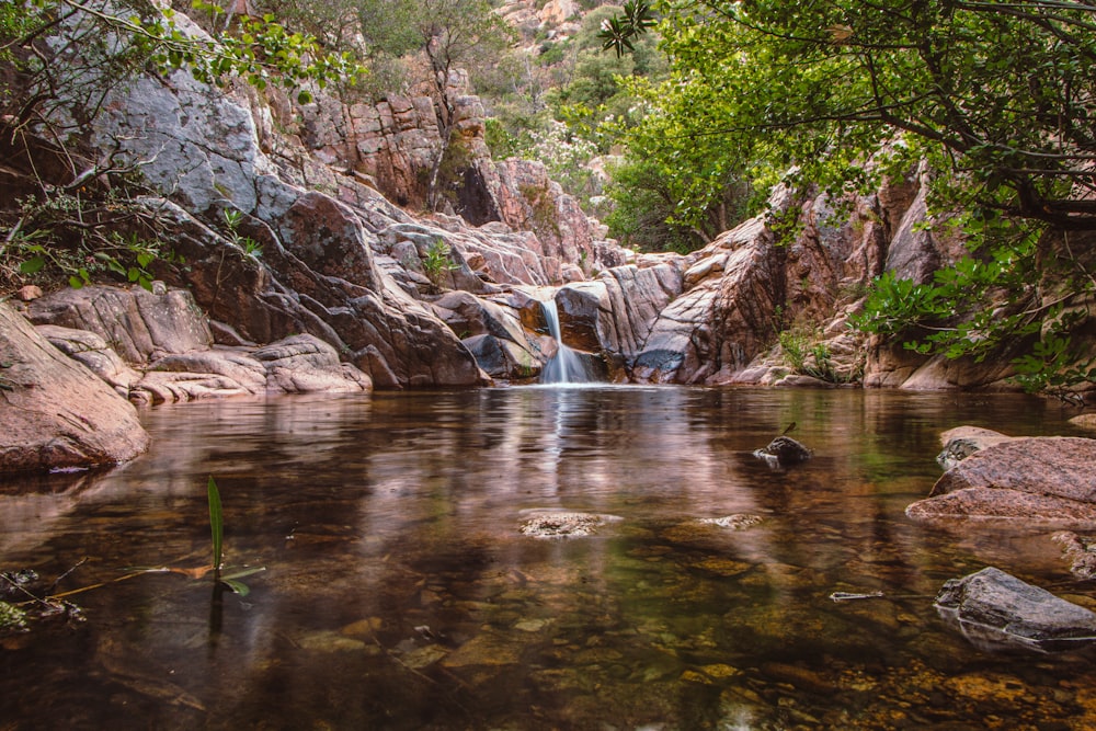 water falls in the middle of the forest