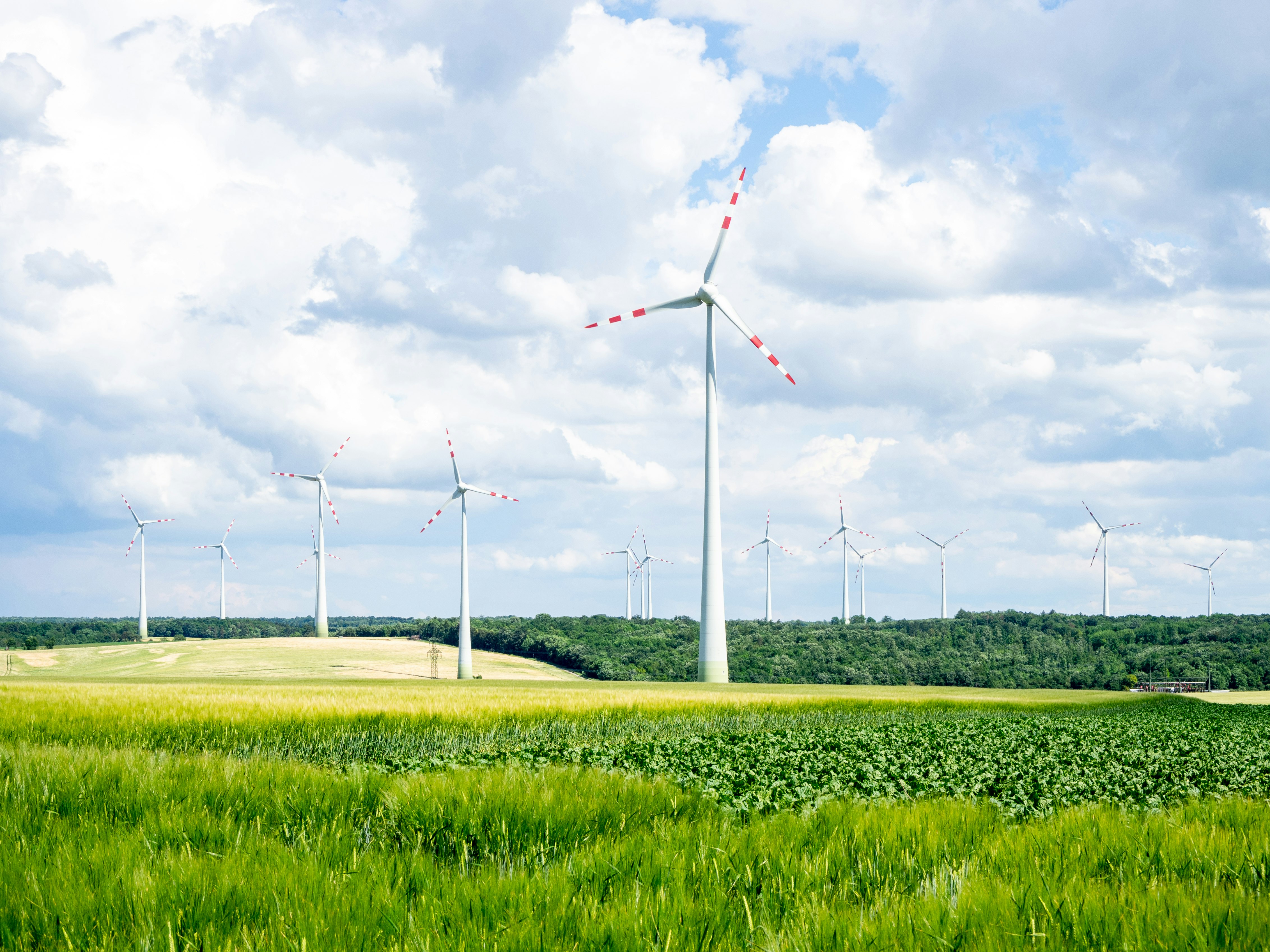 white wind turbines on green grass field under white clouds and blue sky during daytime