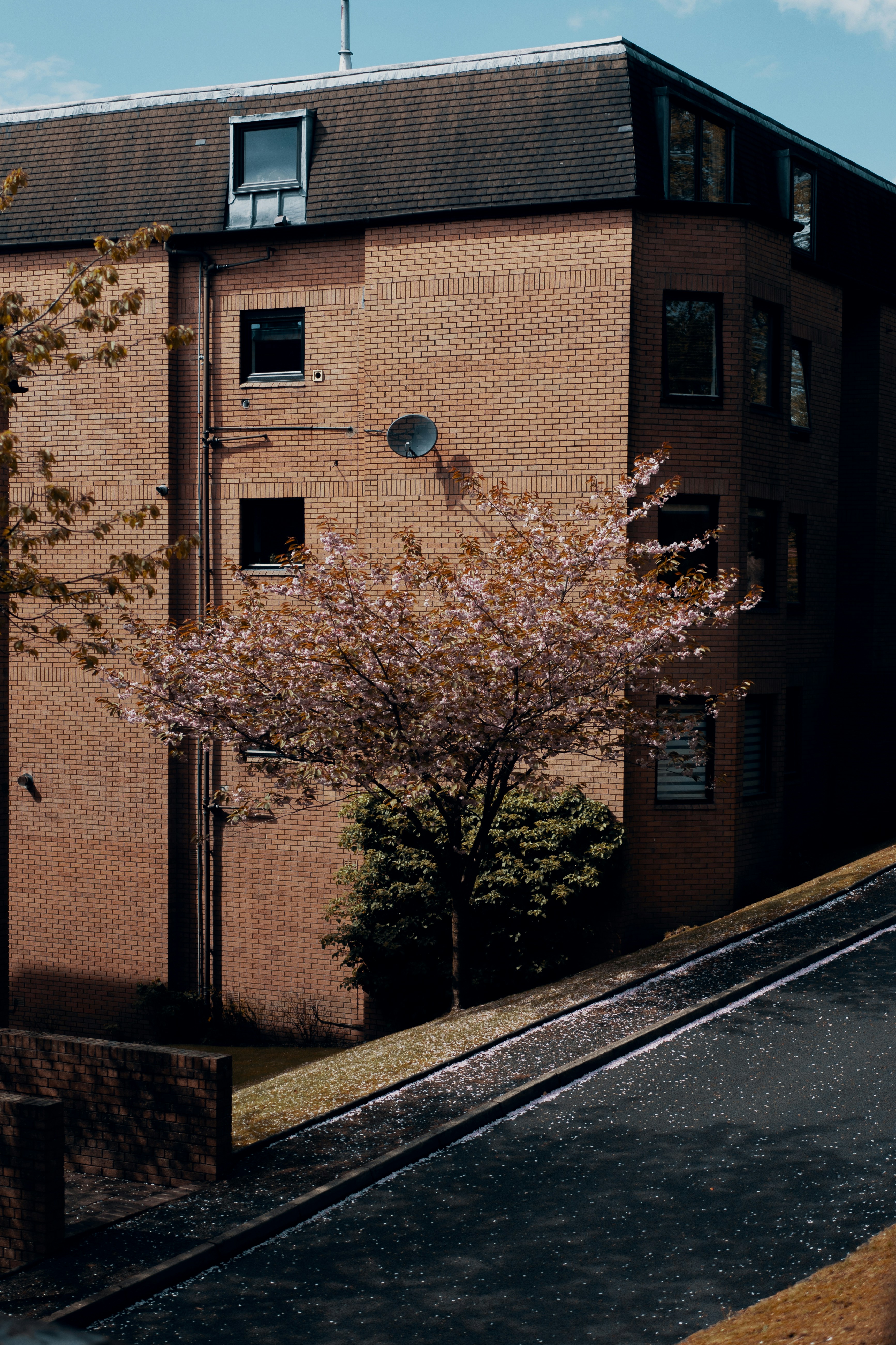 Photo by rosssneddon