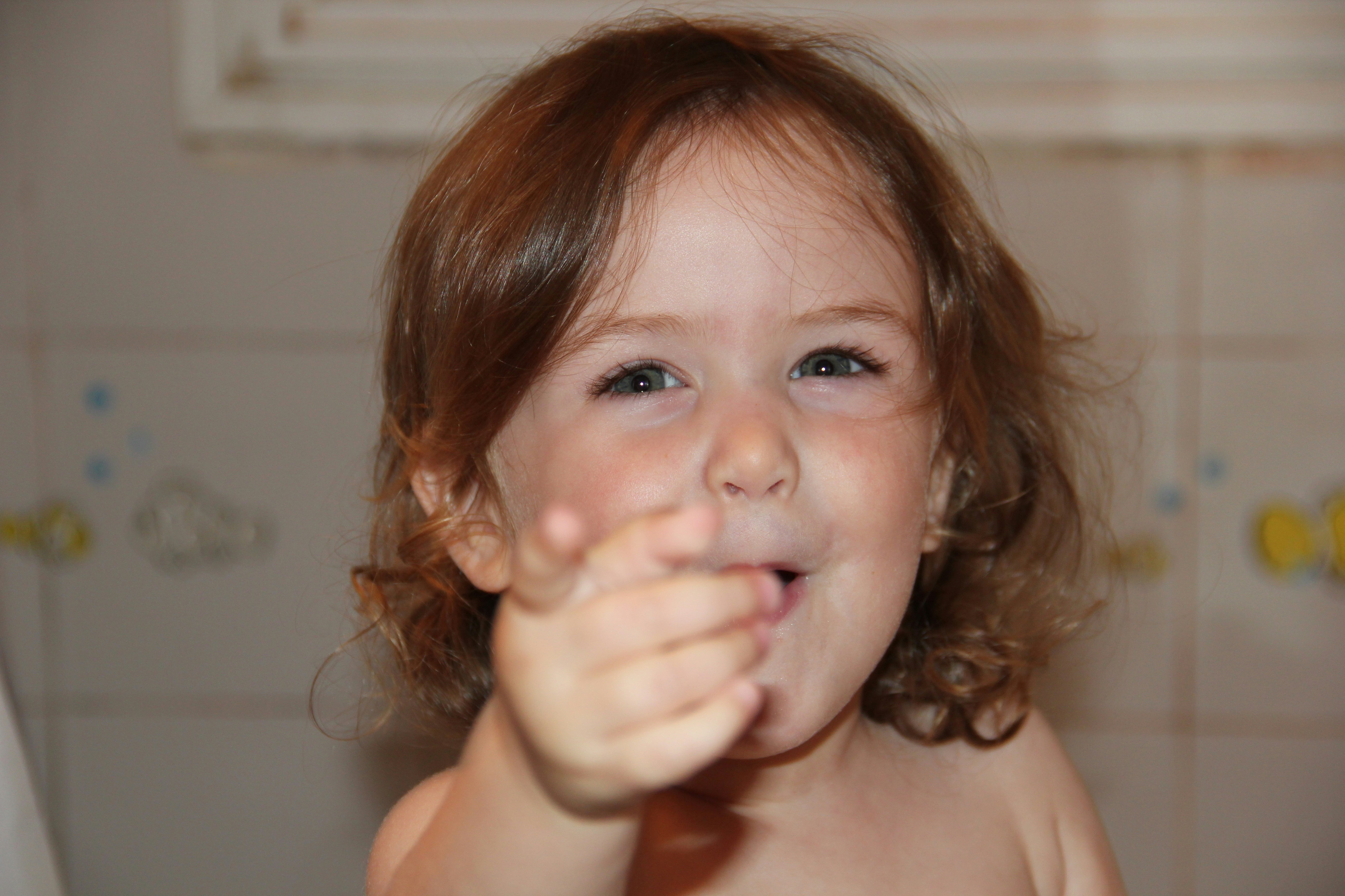 Photo by shalevcohen