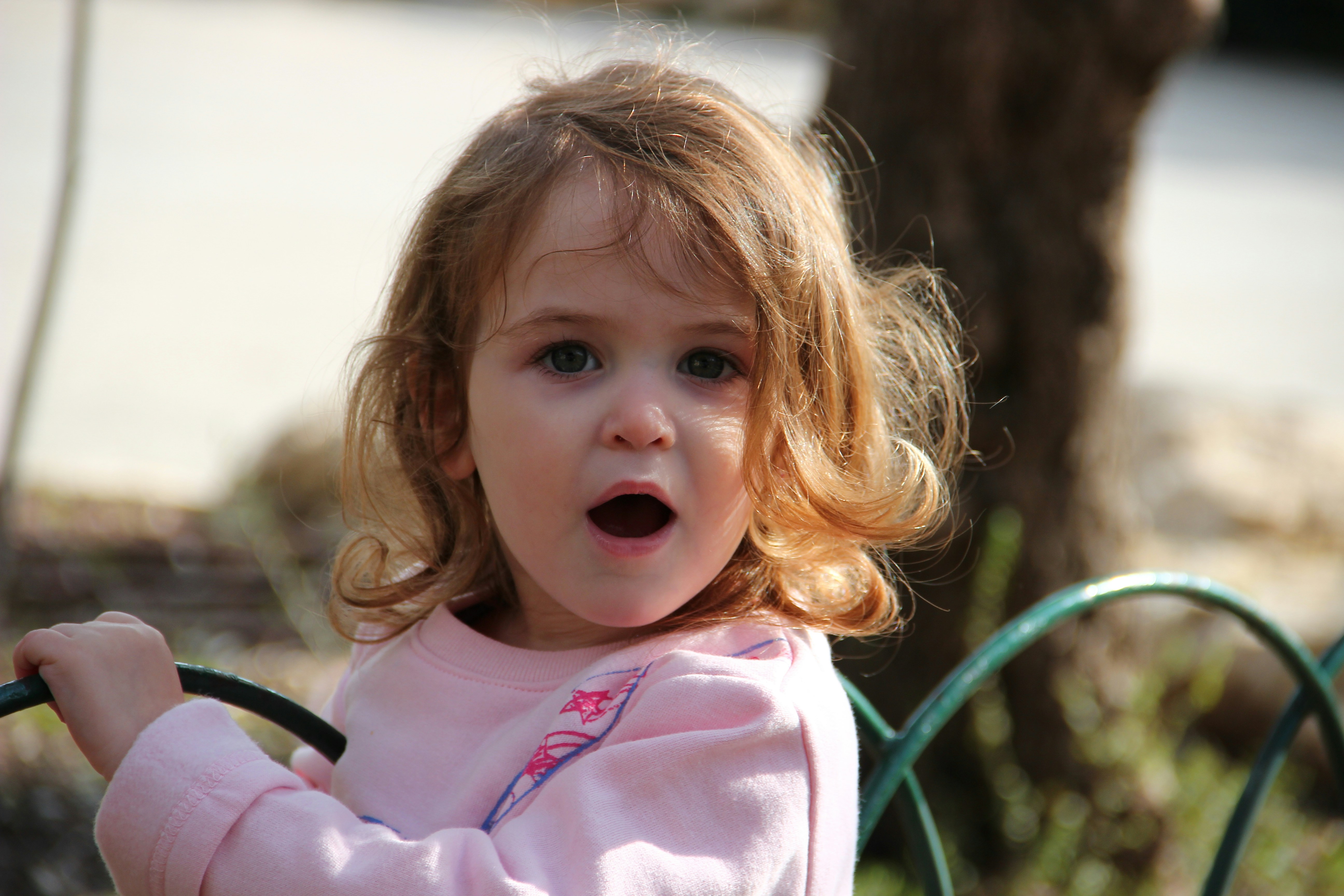 Photo by shalevcohen