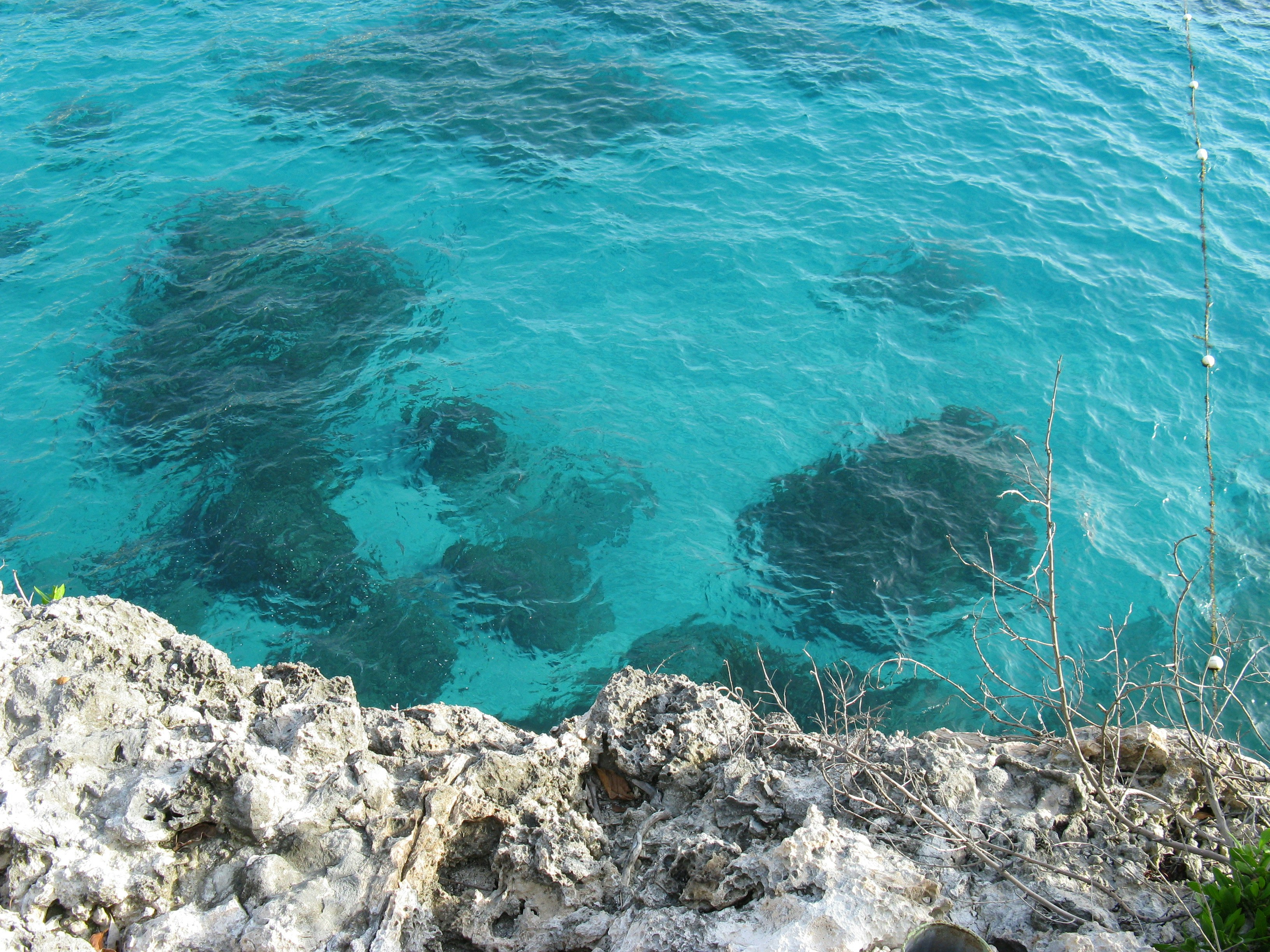 brown rocks beside blue sea during daytime