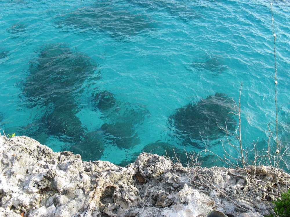 昼間の青い海のそばの茶色い岩