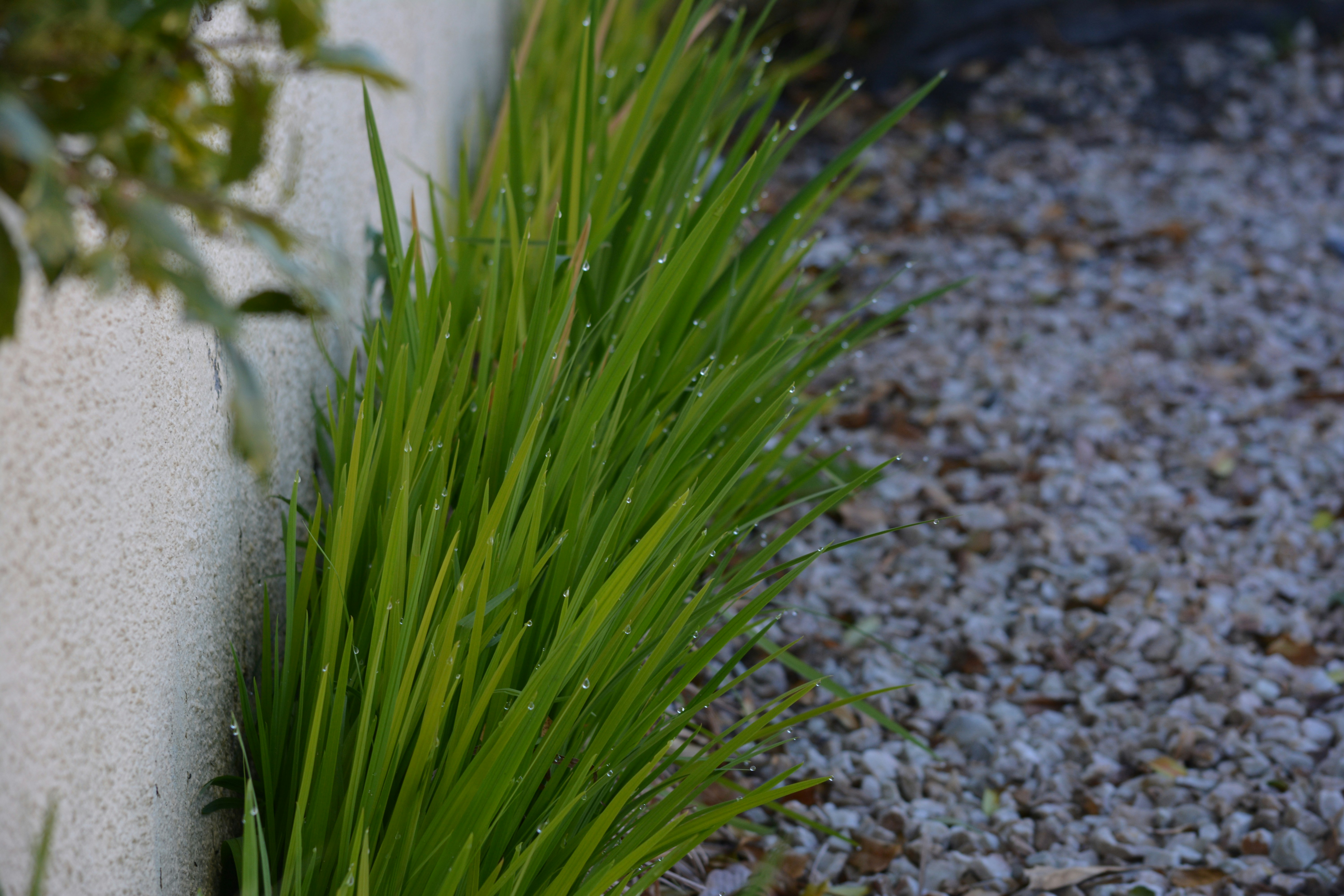 Photo by natashaguryanova