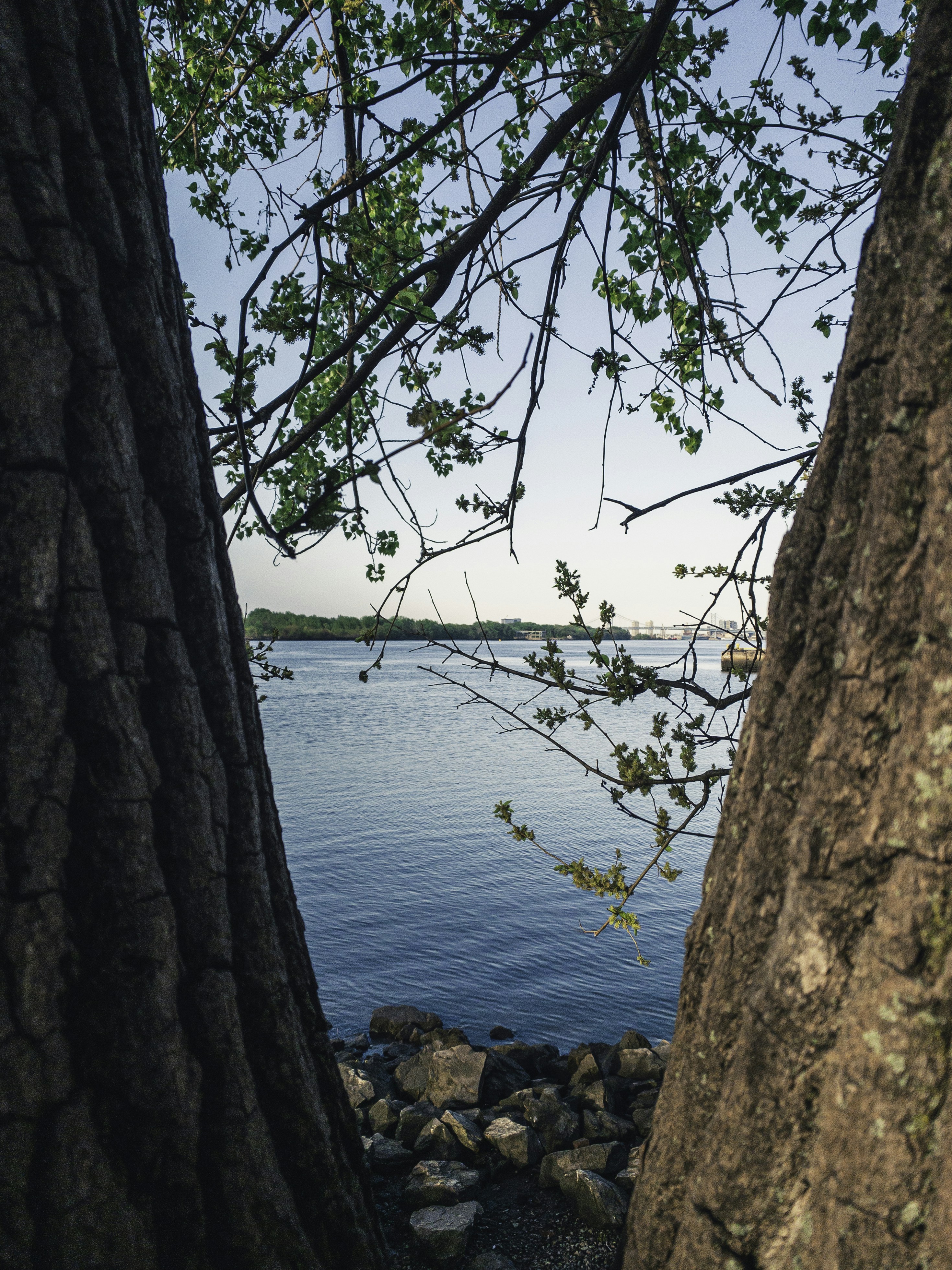 Photo by holtzinger_j