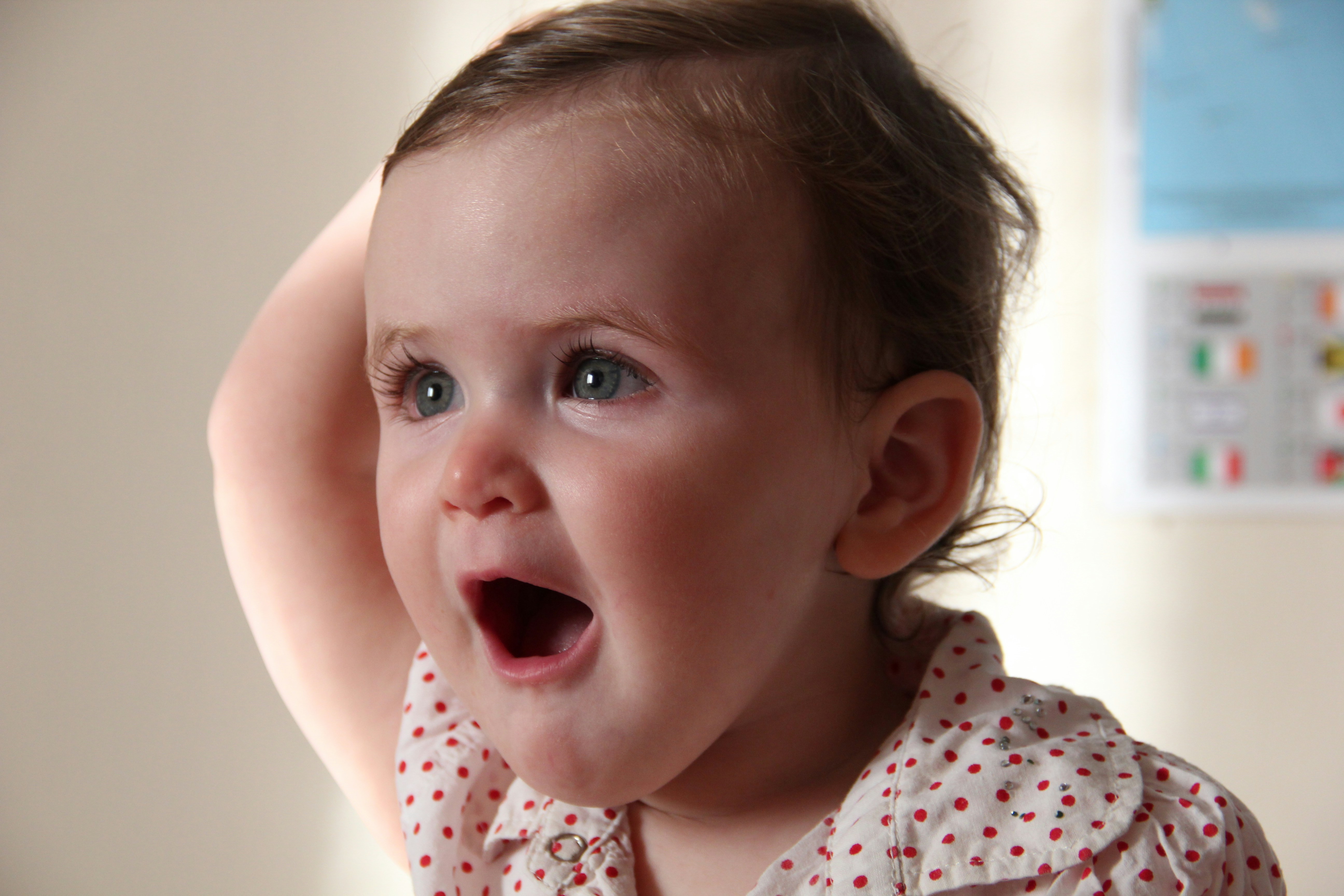 Photo by shalevcohen