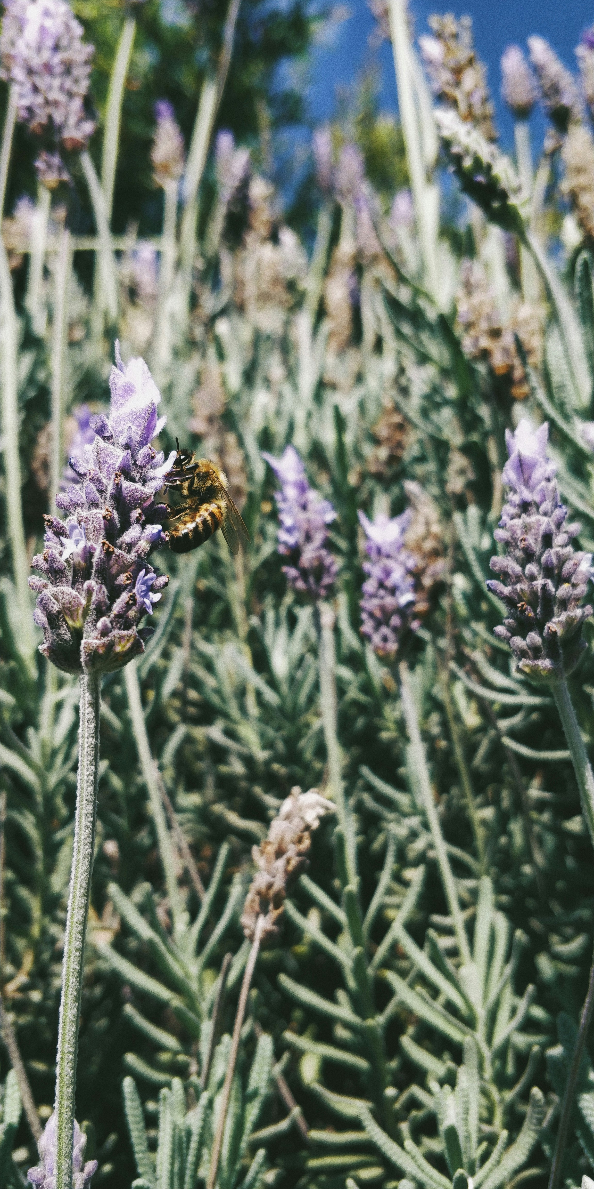 Photo by learncypaul