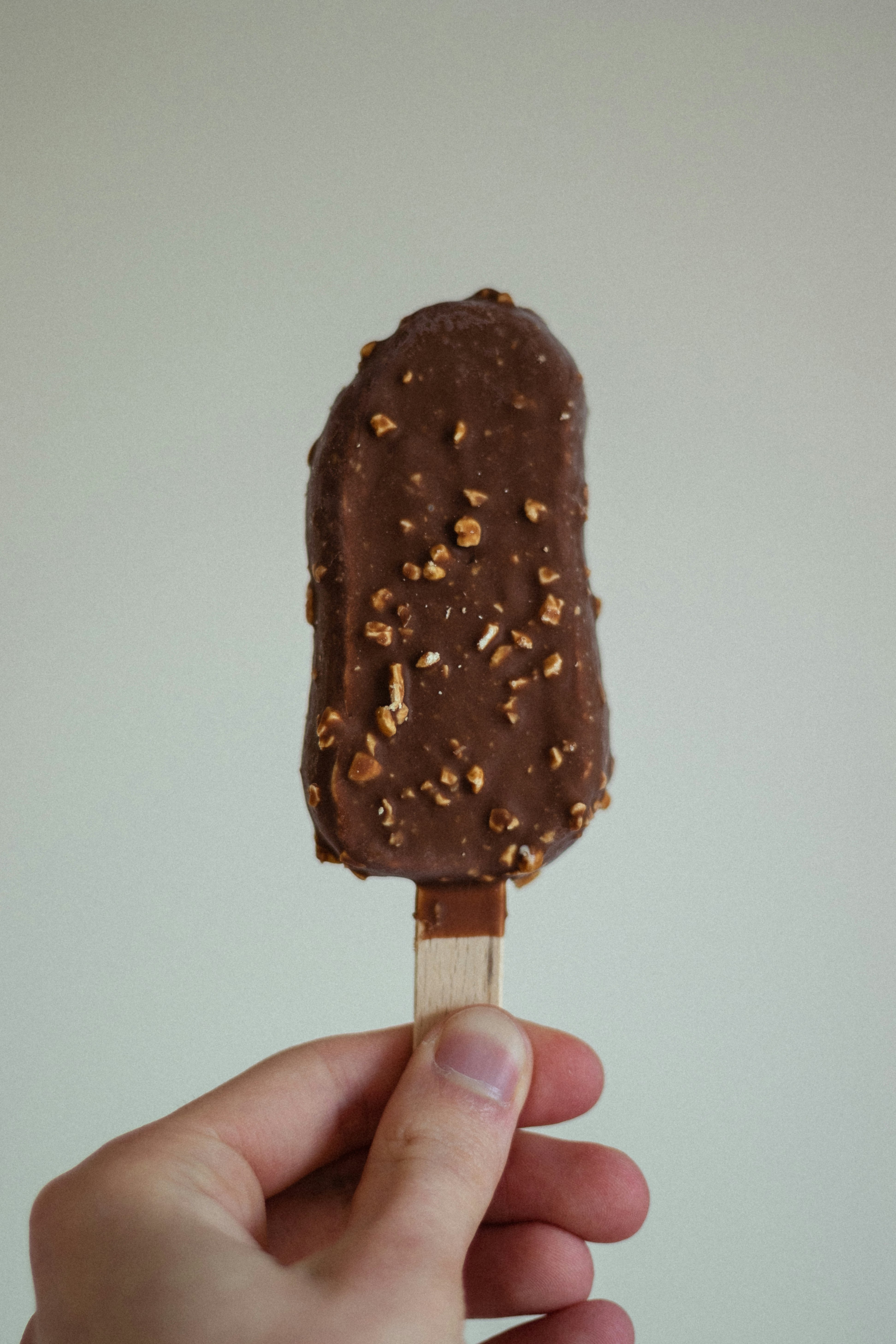 chocolate ice cream on stick