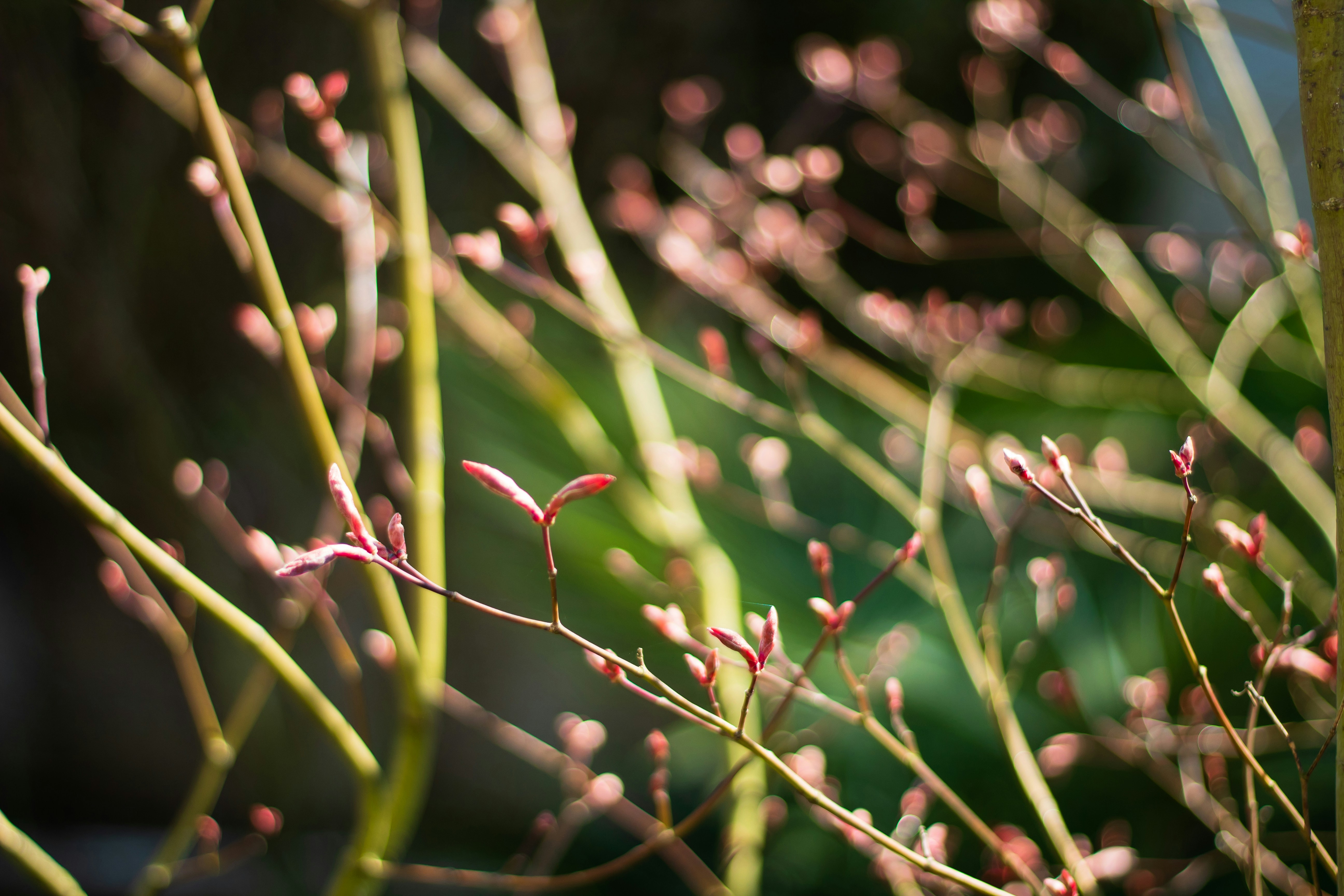 Photo by photoroutes