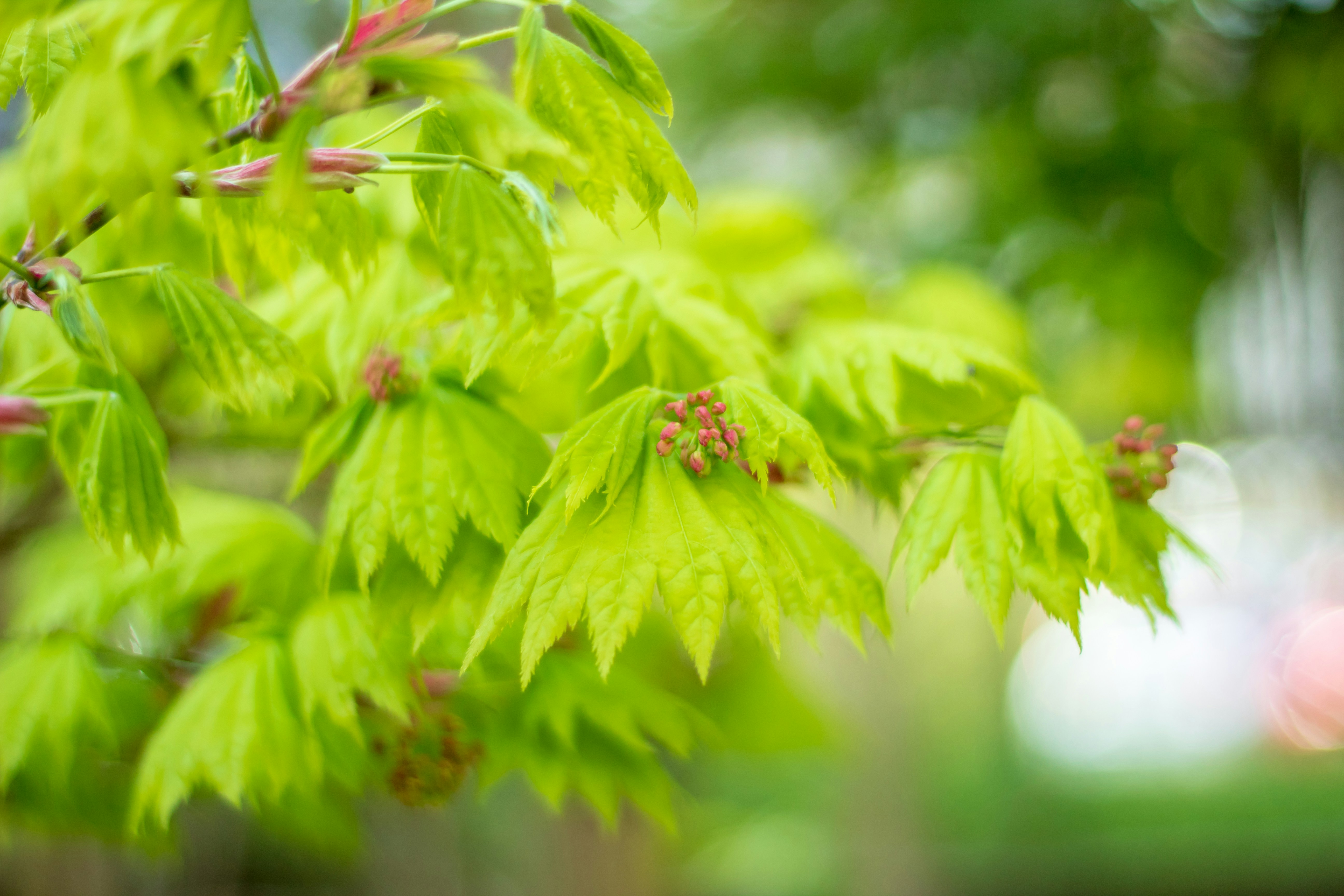 Photo by photoroutes