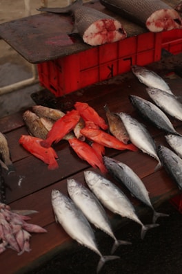 A variety of fish food packages with natural ingredients displayed on a wooden table.