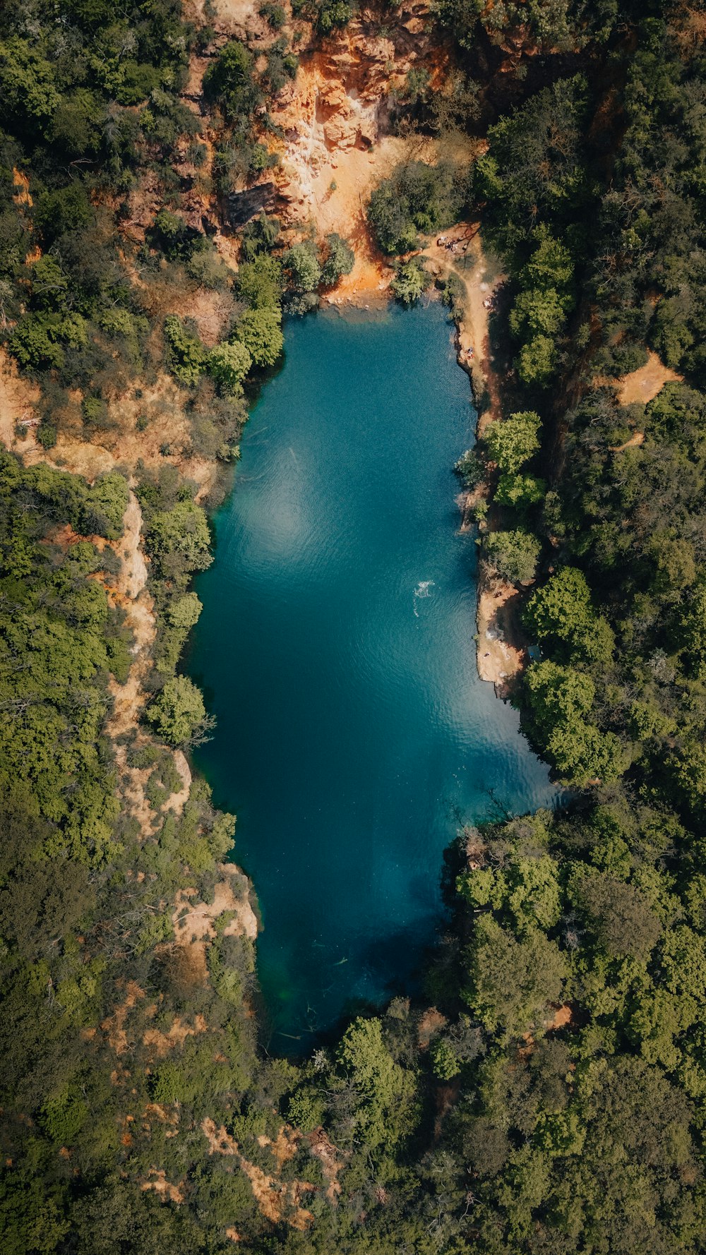 aerial view of river between green trees during daytime