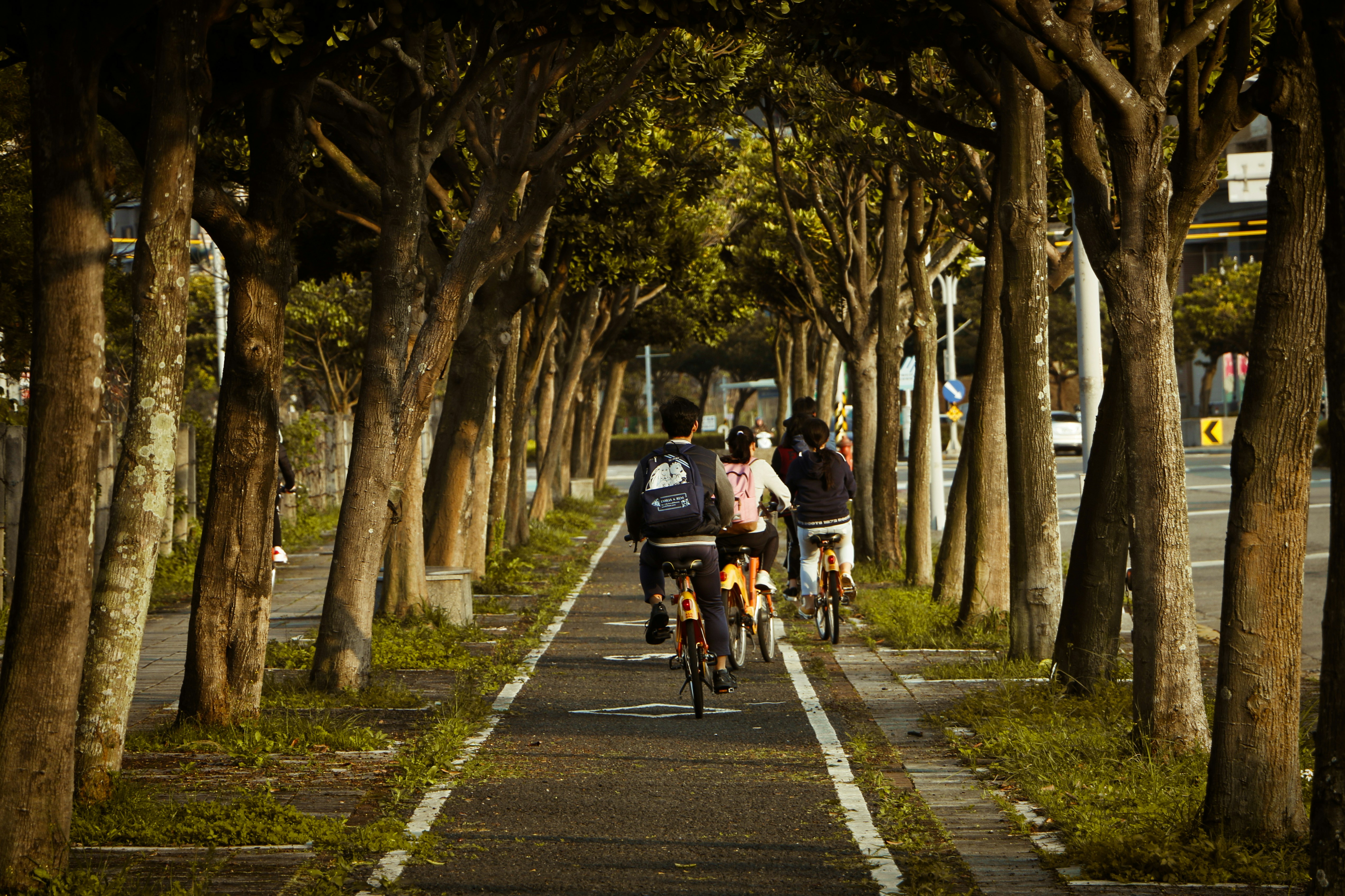man in black jacket riding bicycle on road during daytime