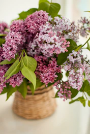 A romantic gift basket with soft lilac flowers, delicate wrapping, and a heartfelt note.