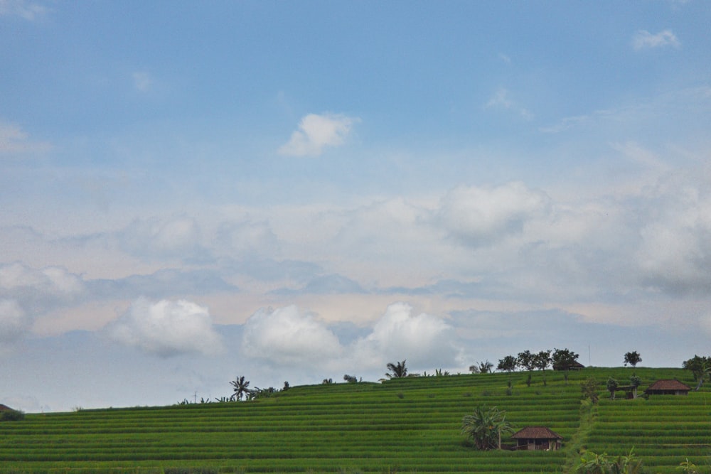 green grass field under white clouds and blue sky during daytime