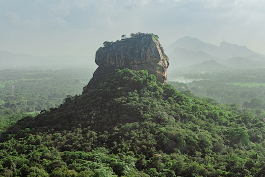green trees on mountain during daytime in Pidurangala Rock Sri Lanka