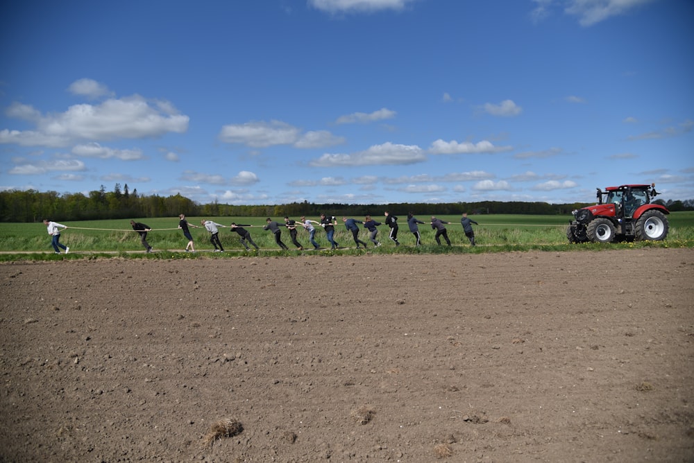 herd of sheep on brown field under cloudy sky during daytime