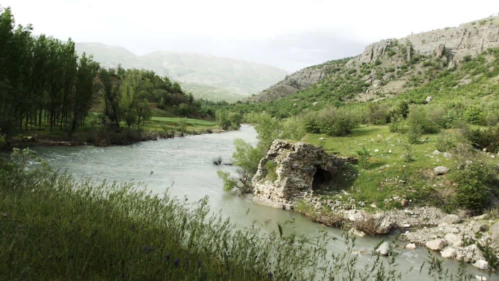 Champ d’herbe verte près du lac pendant la journée