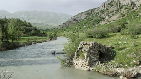 green grass and trees near river in Tunceli Turkey