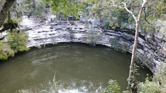 A natural, circular sinkhole with stagnant greenish water at its bottom, surrounded by cliff walls with visible layers of rock. Lush greenery and trees frame the top of the image, adding to the sense of seclusion and natural beauty.
