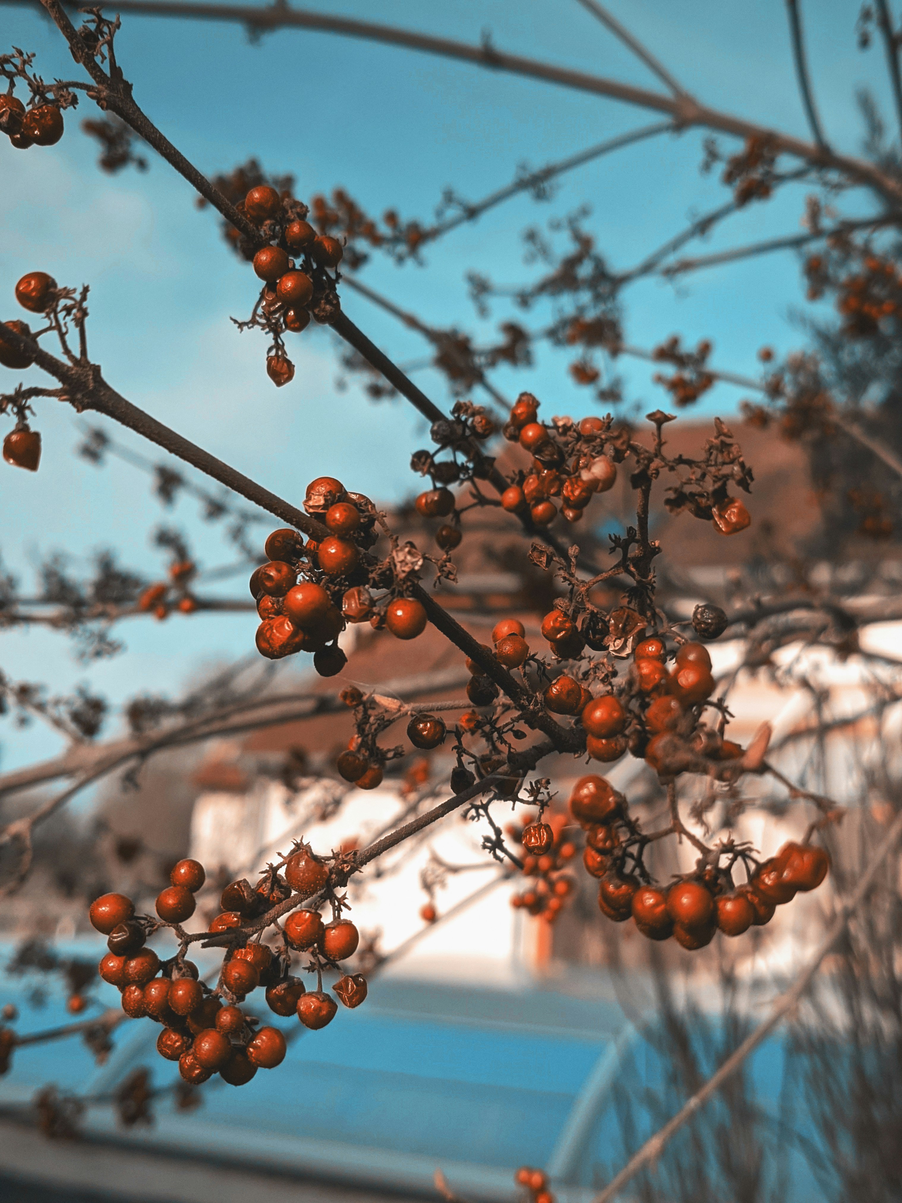 Photo by sigmund