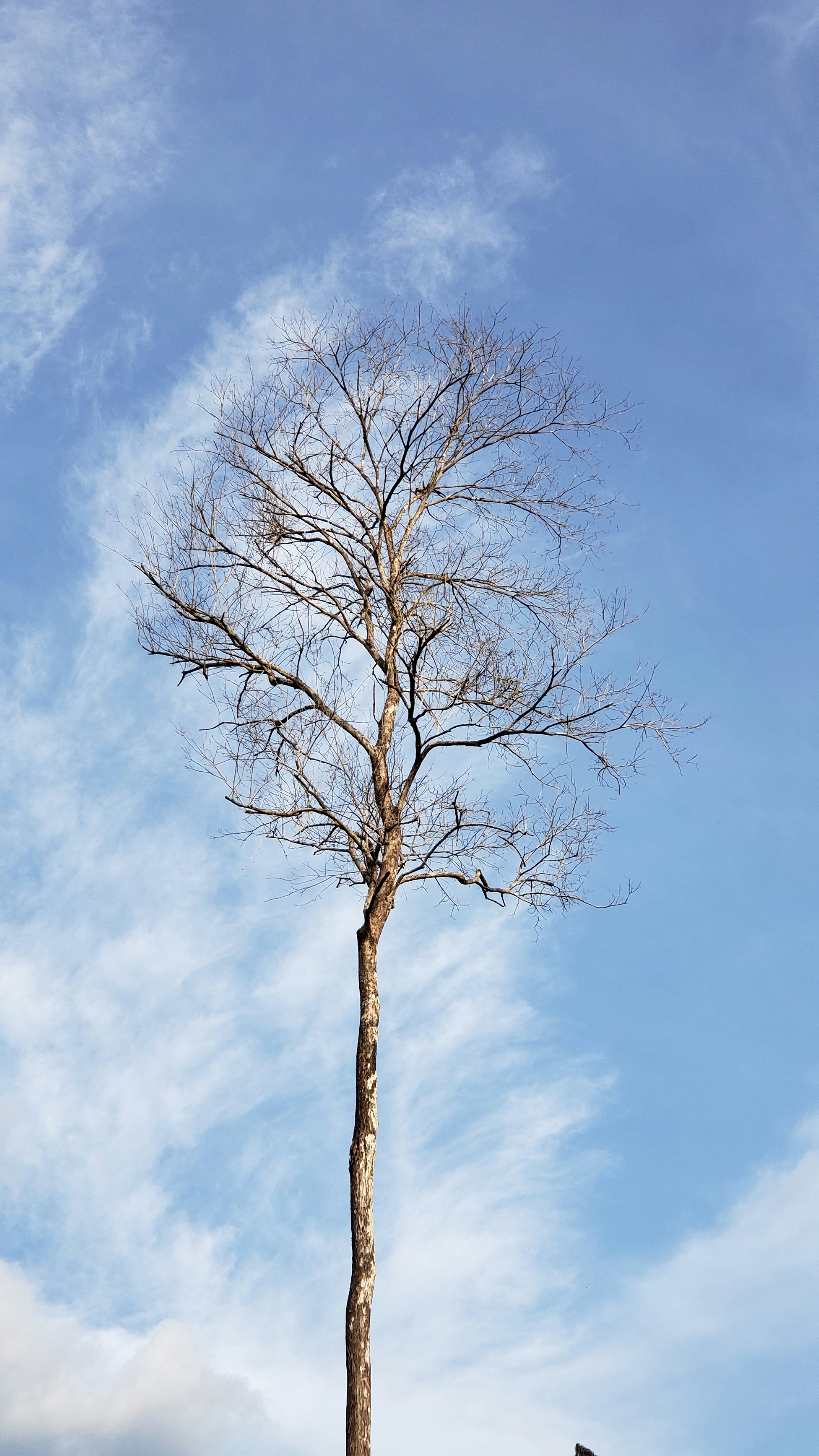 Photo by dienyportinanni