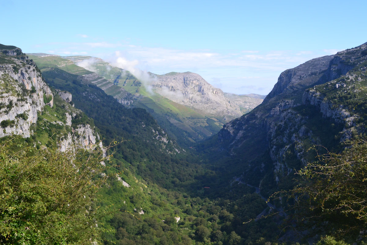 Desfiladero verde entre montañas