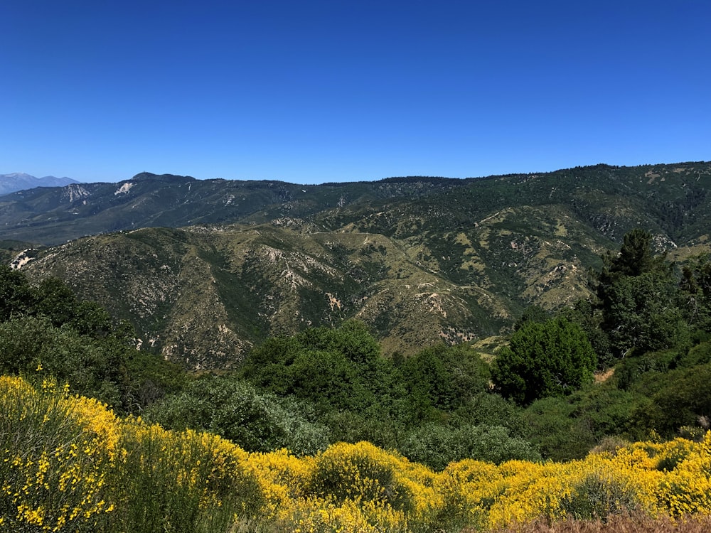 green and brown mountains under blue sky during daytime