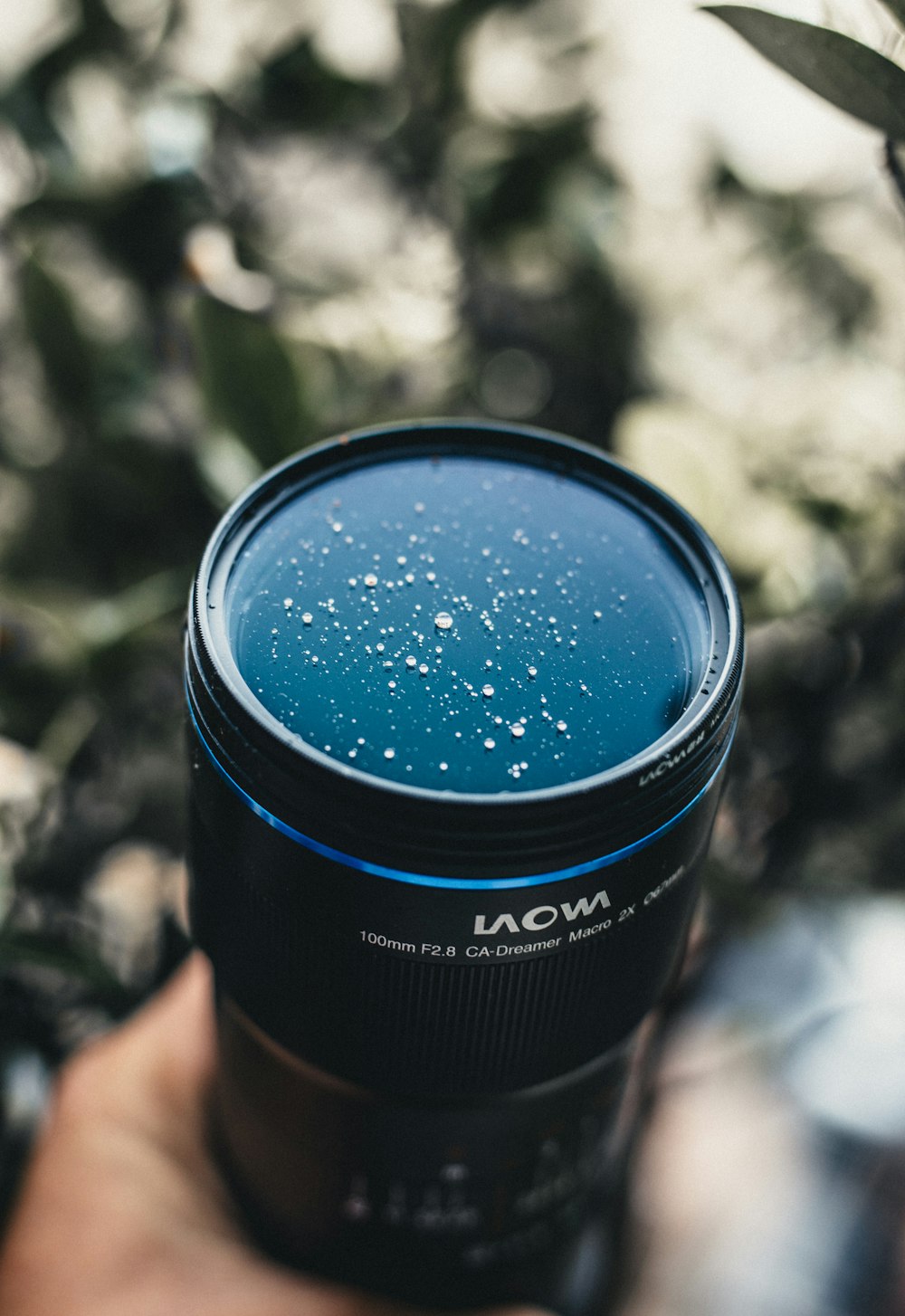 black and blue disposable cup