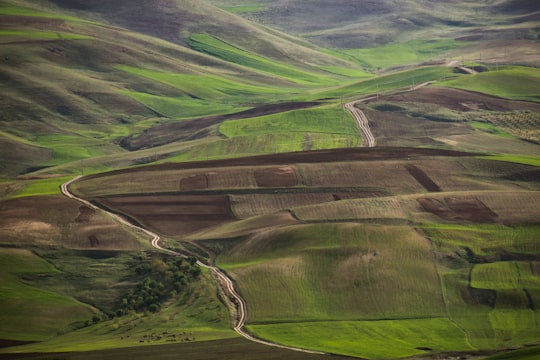 green grass field during daytime in Lorestan Province Iran
