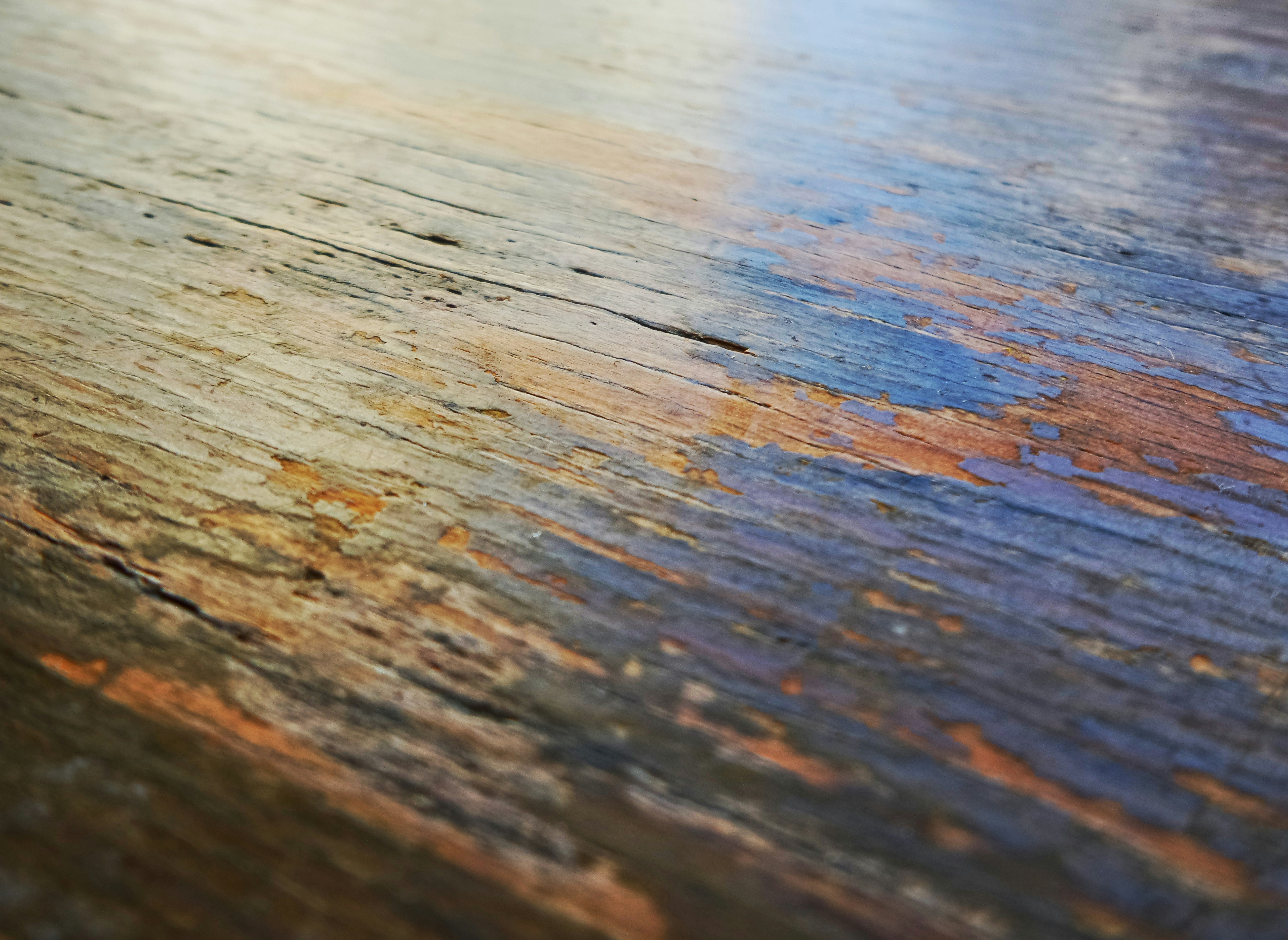 Photo by possessedphotography