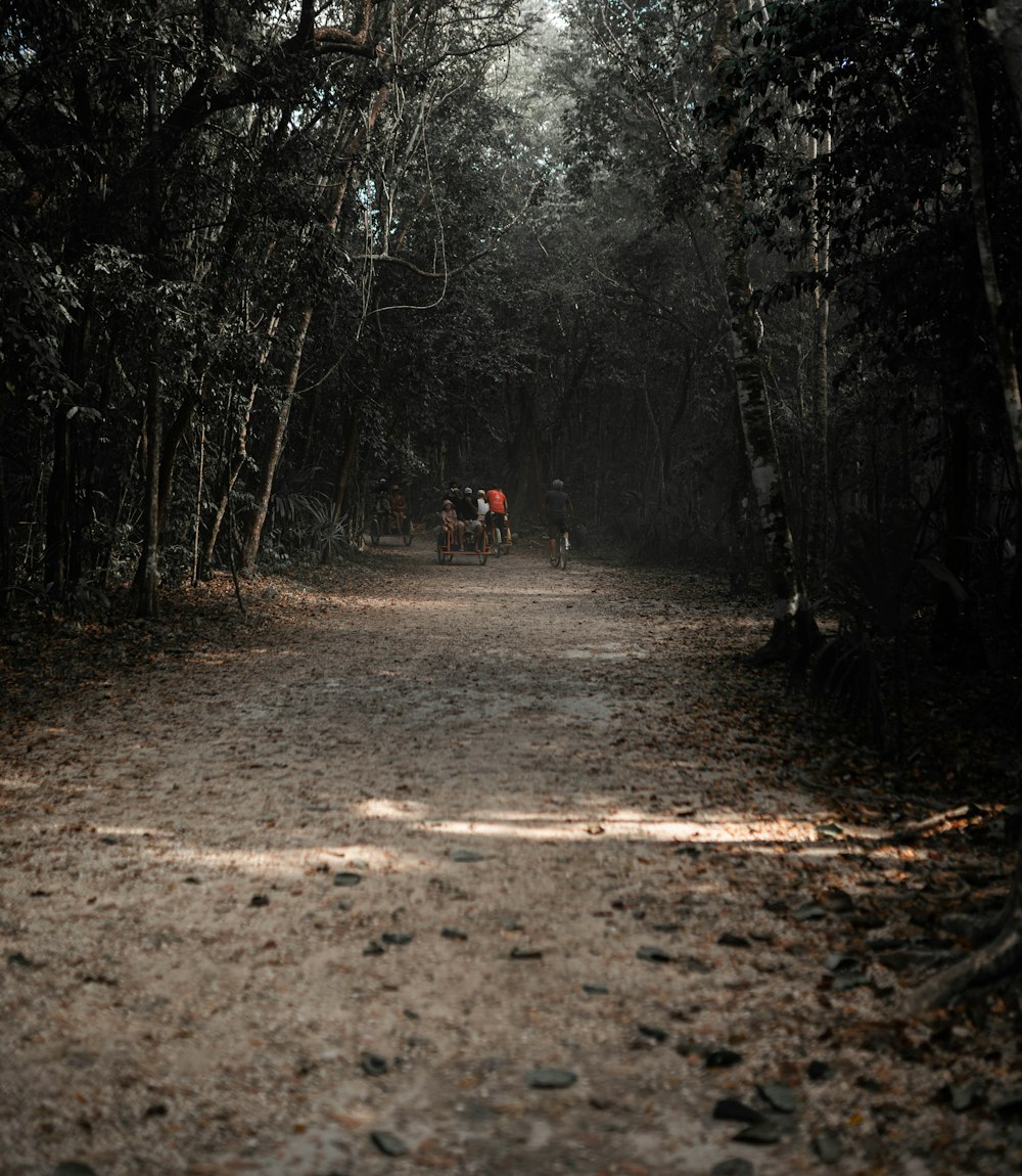 person in red jacket walking on dirt road between trees during daytime