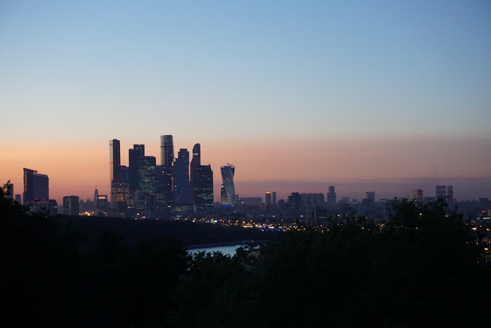 city skyline during night time