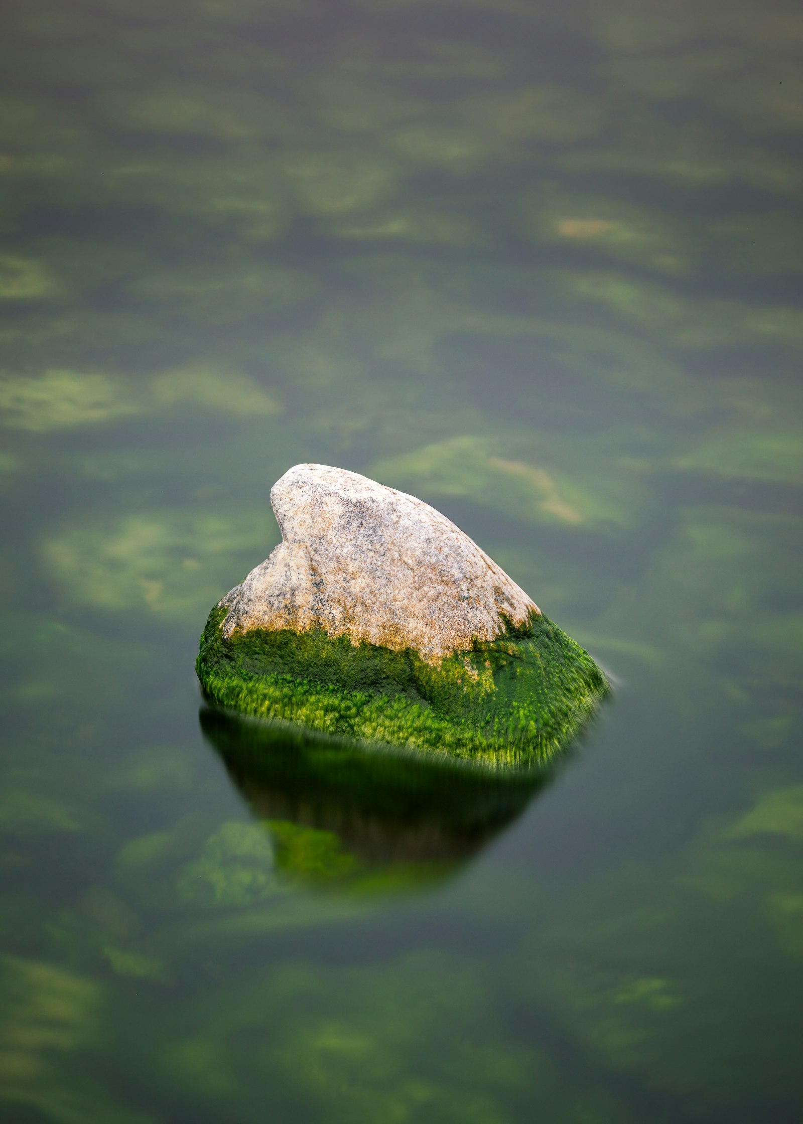 Canon EOS 5D Mark IV + Canon EF 135mm F2L USM sample photo. Gray rock on green photography