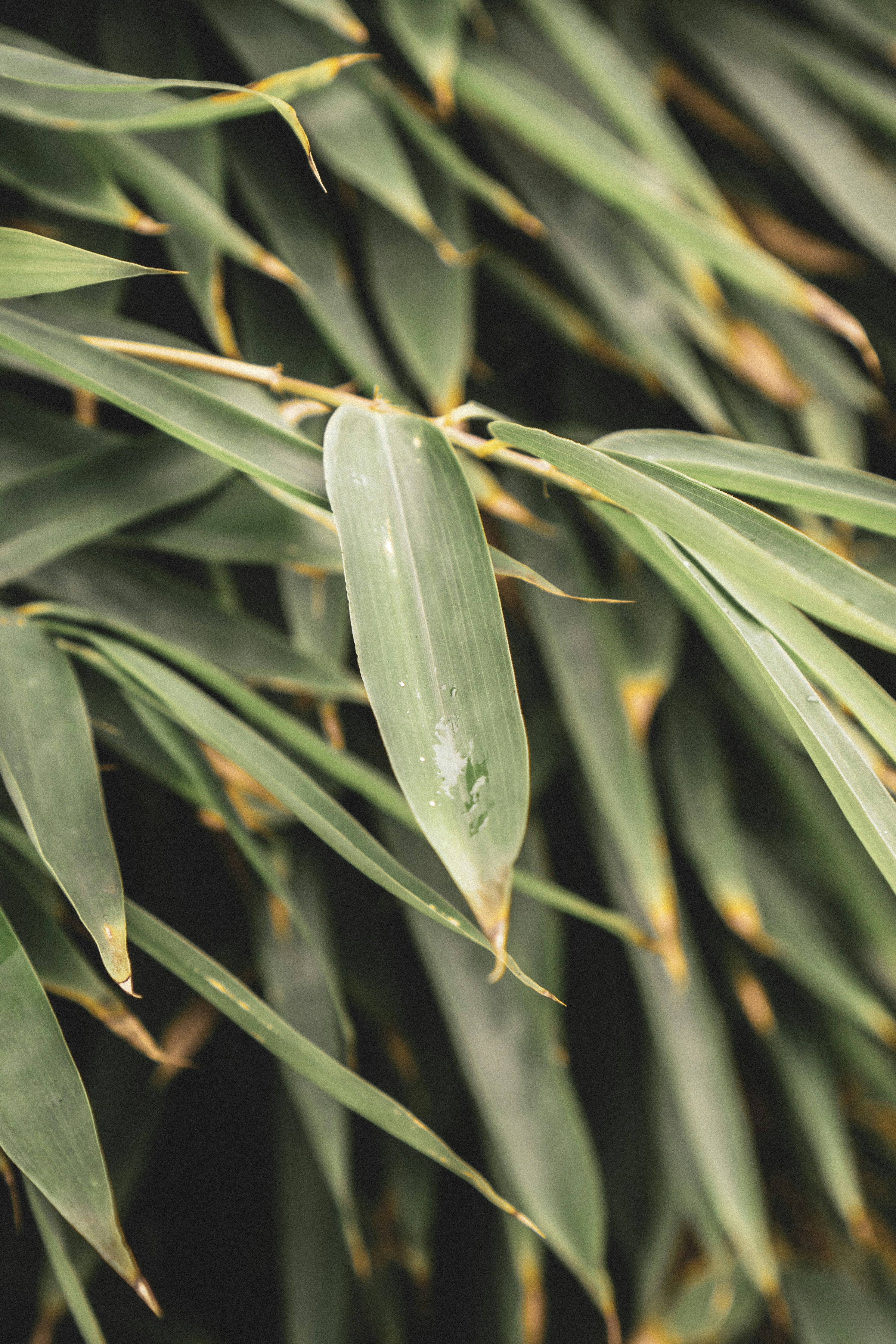 Photo by justusmenke