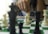 A hand poised above a chessboard, holding a white pawn. The chessboard features a classic green and white checkered pattern, and multiple chess pieces are visible in soft focus in the foreground and background, including both black and white pieces. The scene suggests a moment of contemplation and strategy in a game.