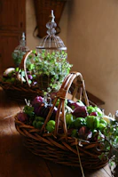 Fresh agricultural produce arranged in rustic baskets.
