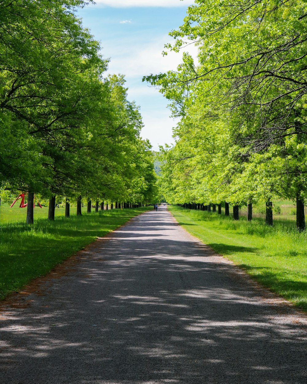 gray concrete road between green trees during daytime